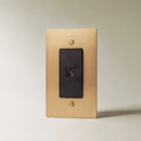 The Brass TV Socket (1-Gang)