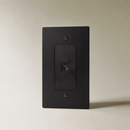 The Brass TV Socket (1-Gang)