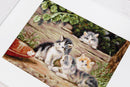 The Cats B556L Counted Cross-Stitch Kit