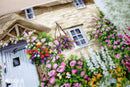 The Cottage Garden B2377L Counted Cross-Stitch Kit