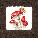 The Fairy Ring XHD101 Counted Cross Stitch Kit