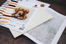 The Play Time BU5037L Counted Cross-Stitch Kit