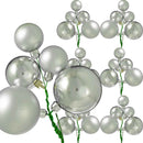 The Sonoma Ball Cluster