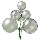 The Sonoma Ball Cluster