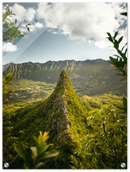 The Big Island - Print