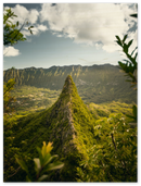 The Big Island - Print