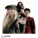 Harry Potter - The Magical Guardians Wooden Jigsaw Puzzle