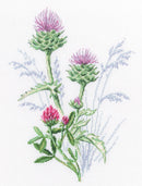 Thistle Botanical Wildflower Counted Cross Stitch Kit by RTO M940