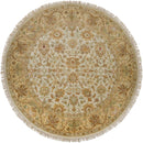 Vidette Traditional Beige Area Rug