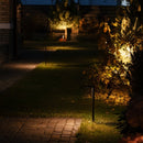 Tiyva Bollard Light