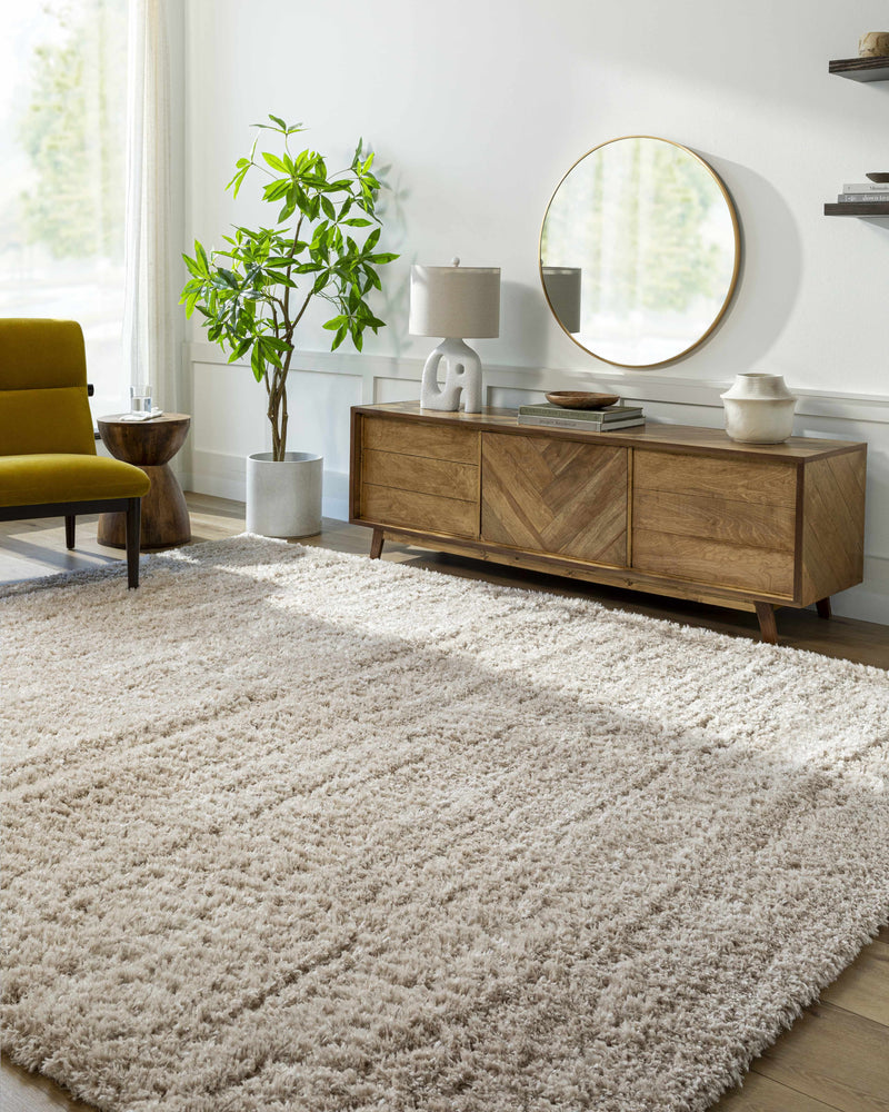 Siari Solid Oatmeal Shag Rug