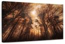 Forest Fire Wall Art