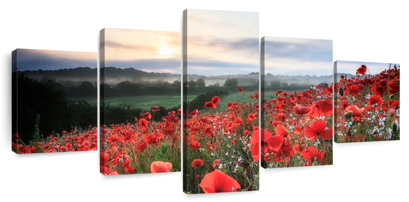 Field Of Red Poppies Wall Art