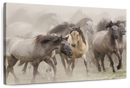 Wild Horse Stampede Wall Art