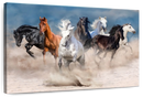 Running Horses Wall Art