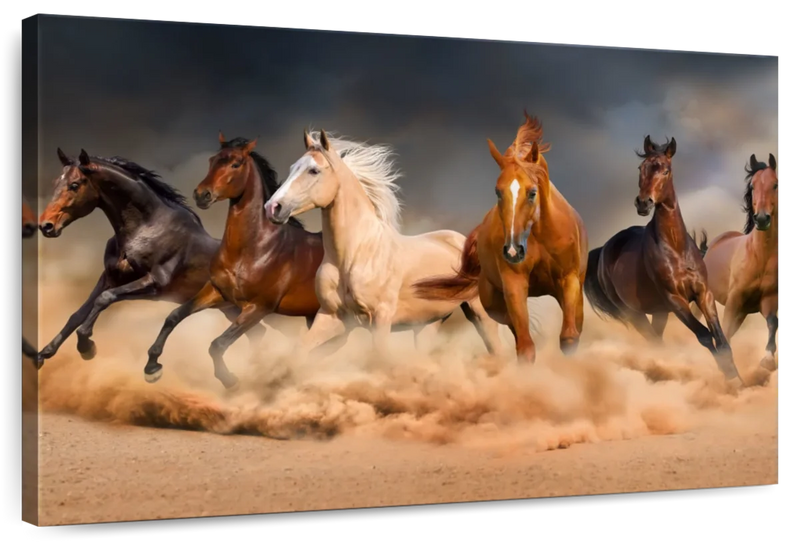 Desert Roaming Horses Wall Art