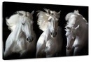 Three White Horses Wall Art
