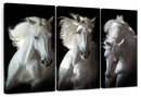 Three White Horses Wall Art