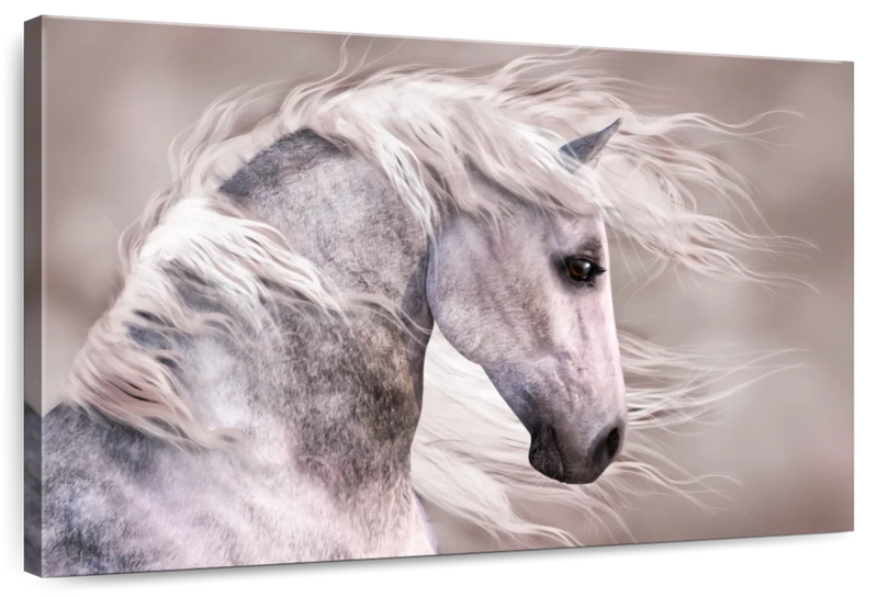 Arabian Dapple Grey Horse Wall Art