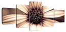 Detailed Sepia Flower Wall Art