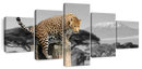 Pop African Leopard Wall Art