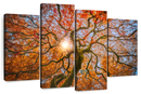 Japanese Maple Tree Wall Art