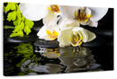 Delicate Zen Orchids Wall Art