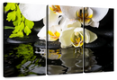 Delicate Zen Orchids Wall Art