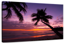 Palm Koh Samui Sunset Wall Art