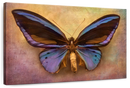 Purple Butterfly Wall Art