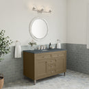 James Martin Chicago 48" Single Bathroom Vanity, Walnut Whisper