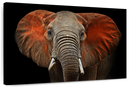 Elephant Portrait Wall Art