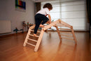 Transformable Climbing Cube with Ramp