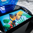 Small Tray | Tropical Guacamaya