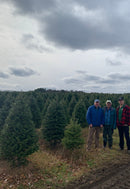 Real Christmas Trees Delivered 7 Foot Premium Balsam-Fraser Fir Hybrid