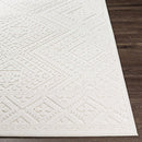 Trigg 3D Outdoor Area Rug