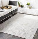 Trigg 3D Outdoor Area Rug