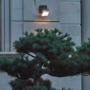 Trivexa Outdoor Wall Lamp