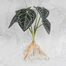 Tropical artificial plant wall set living room decorative foliage