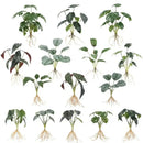 Tropical artificial plant wall set living room decorative foliage