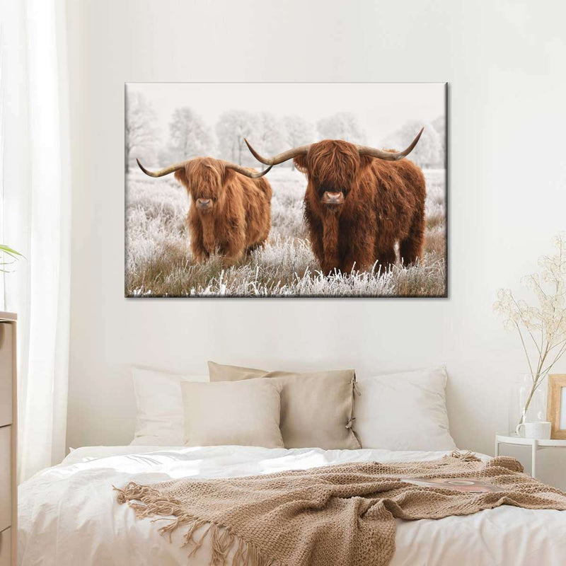 Hairy Scottish Highland Cows Wall Art