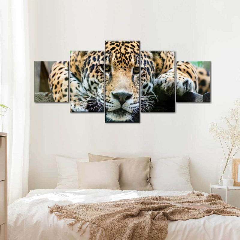 Lazy Leopard Wall Art