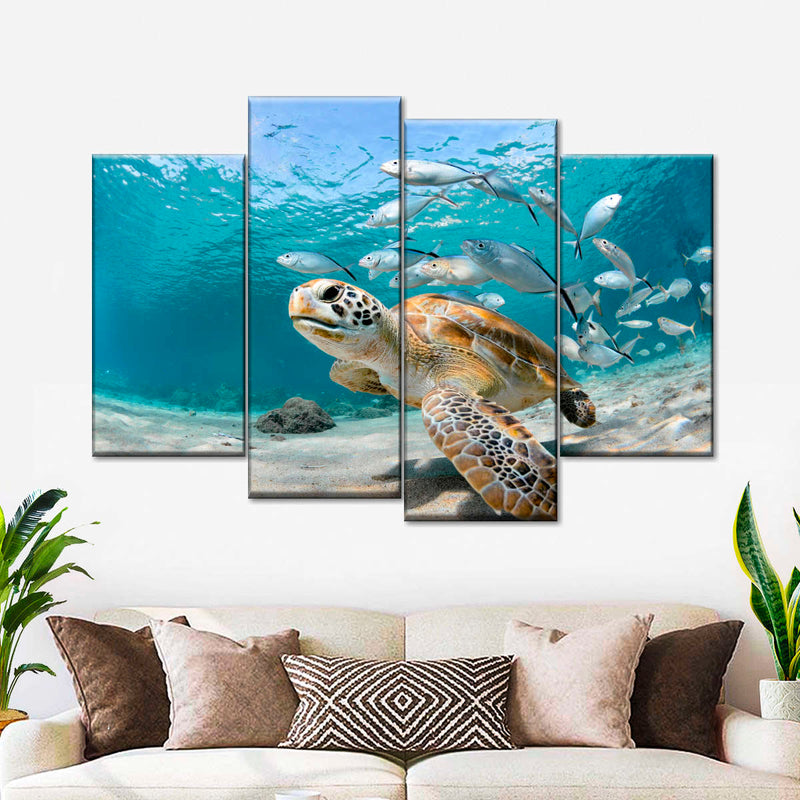 Curacao Fish And Turtle Wall Art