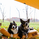 Sunshade Tarp 330