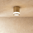 Tzira Ceiling Light