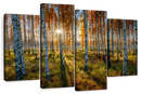Swedish Birch Forest Wall Art
