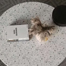 Uchi Coffee Table