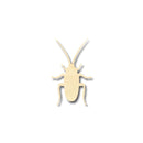 Unfinished Wood Cockroach Shape -Insect - Animal - Craft - up to 46" DIY