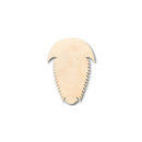 Unfinished Wood Trilobite Shape - Ocean - Dinosaur - Craft - up to 46" DIY