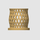Capricious Orchid Planter Pot